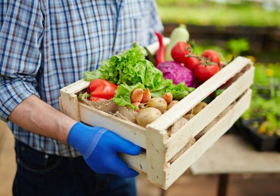 Harvesting